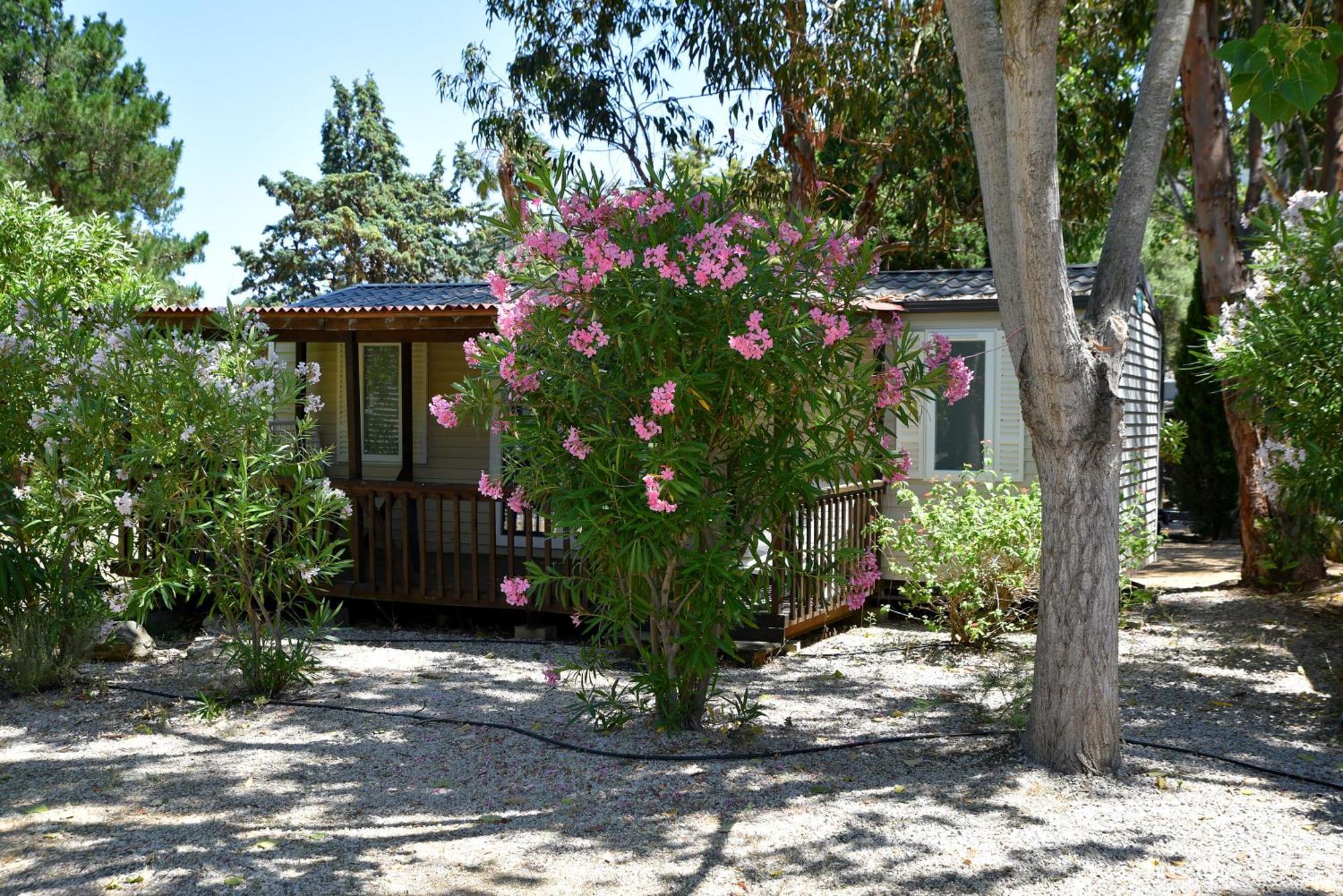 מלון אלגז'ולה Location Du Ranch מראה חיצוני תמונה