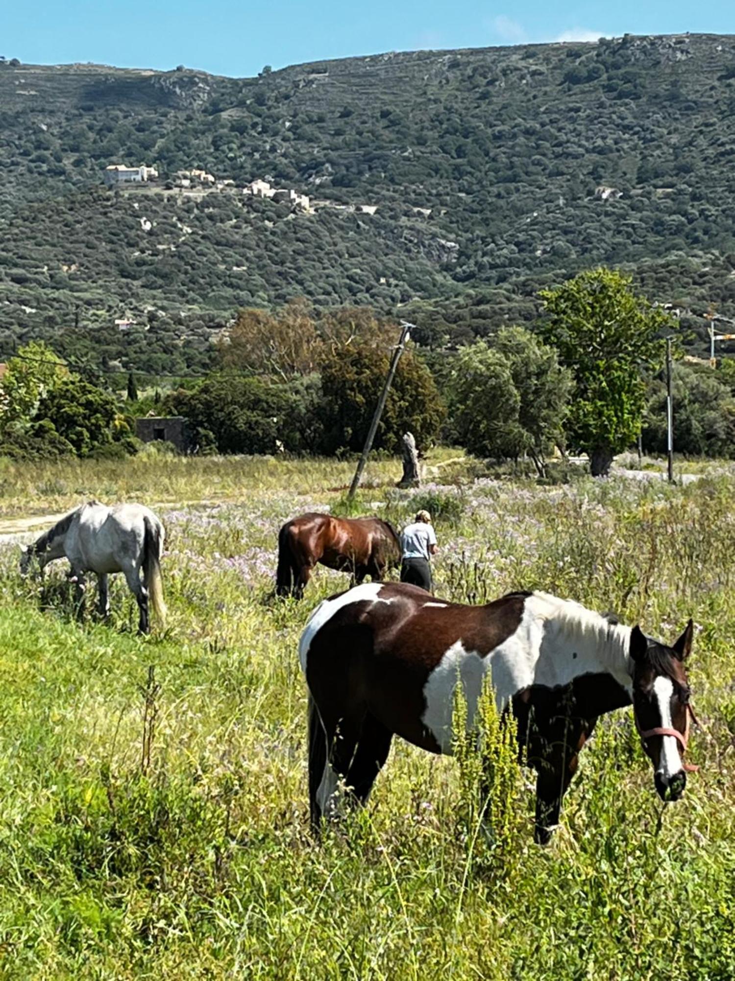 מלון אלגז'ולה Location Du Ranch מראה חיצוני תמונה