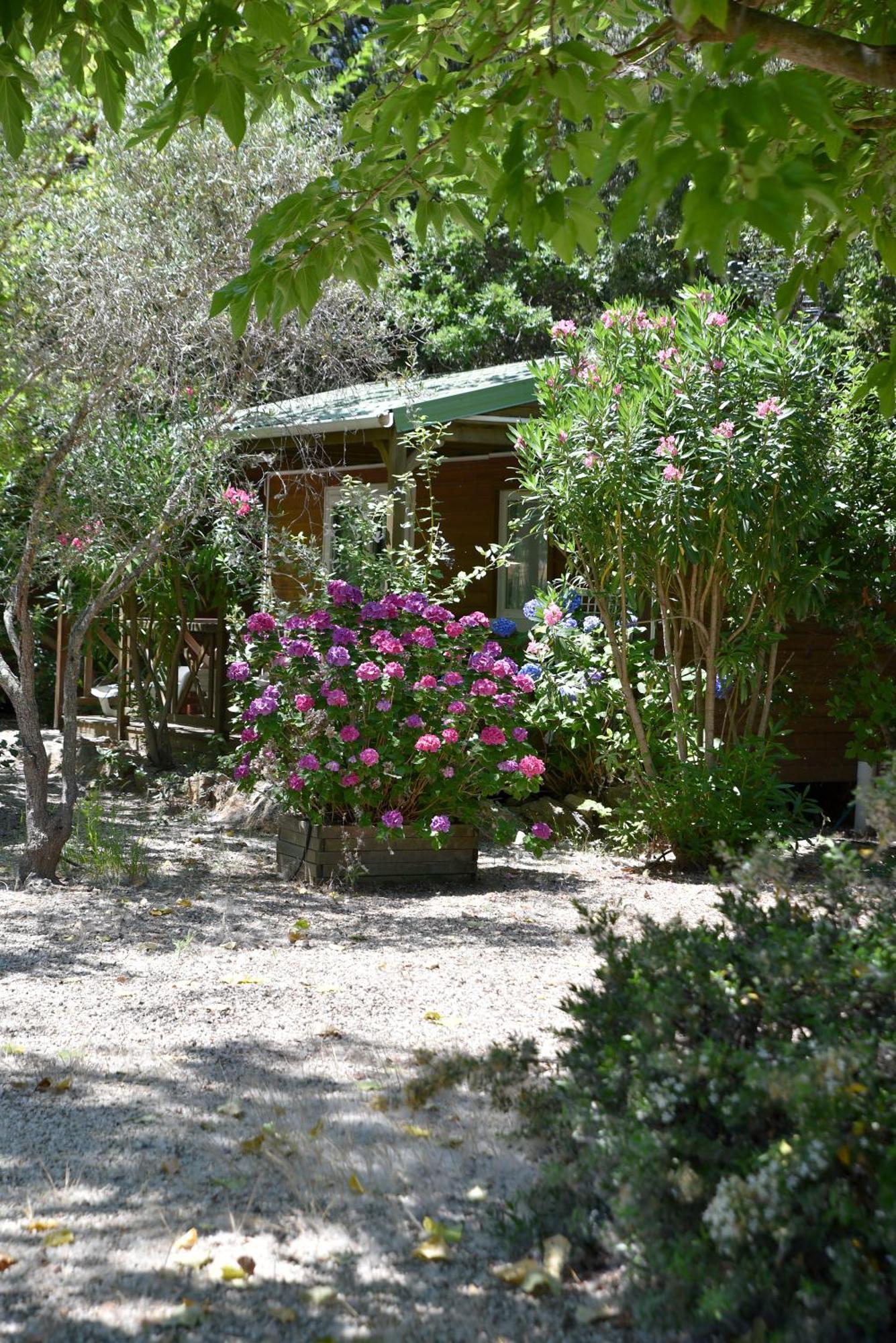 מלון אלגז'ולה Location Du Ranch מראה חיצוני תמונה