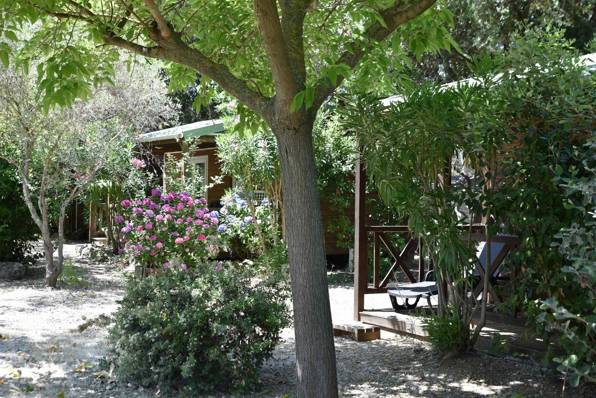 מלון אלגז'ולה Location Du Ranch מראה חיצוני תמונה